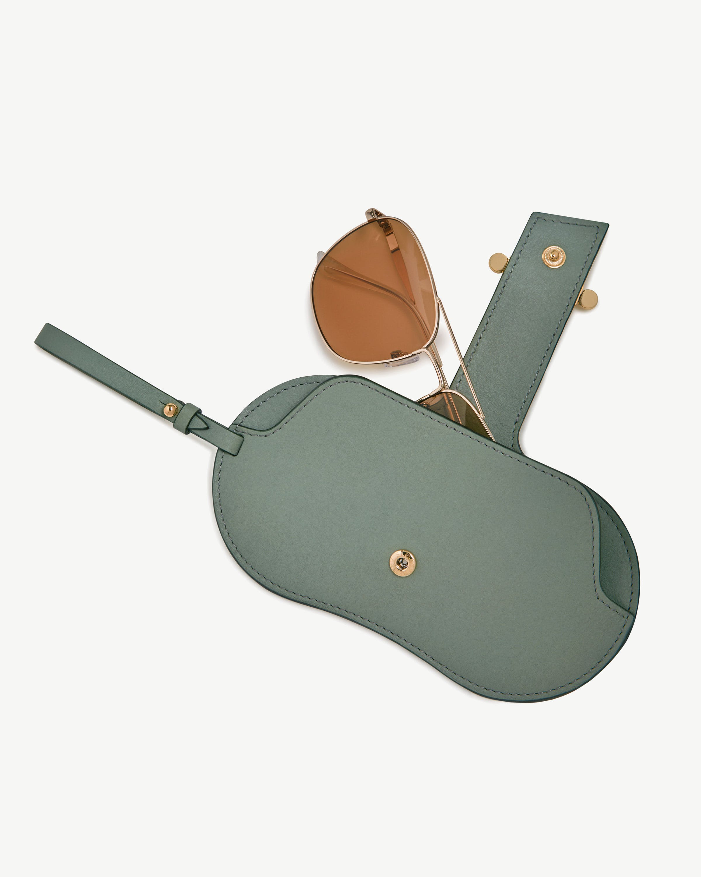 Multrees Sunglasses Case in Library Green