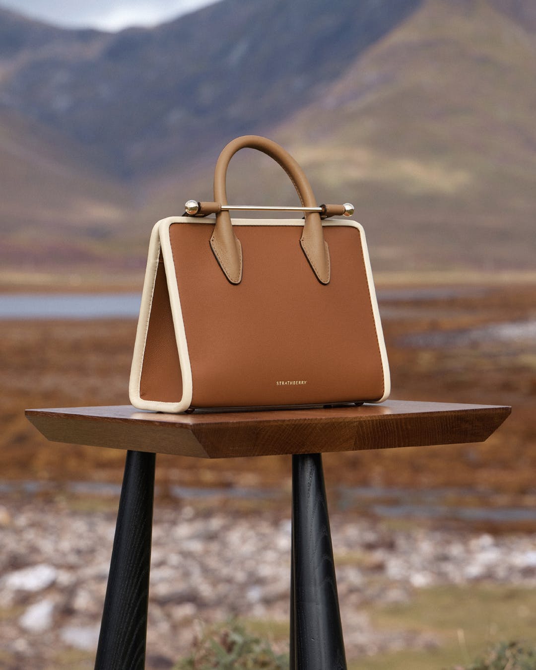 Mini Tote — Caramel, Sand & Chestnut